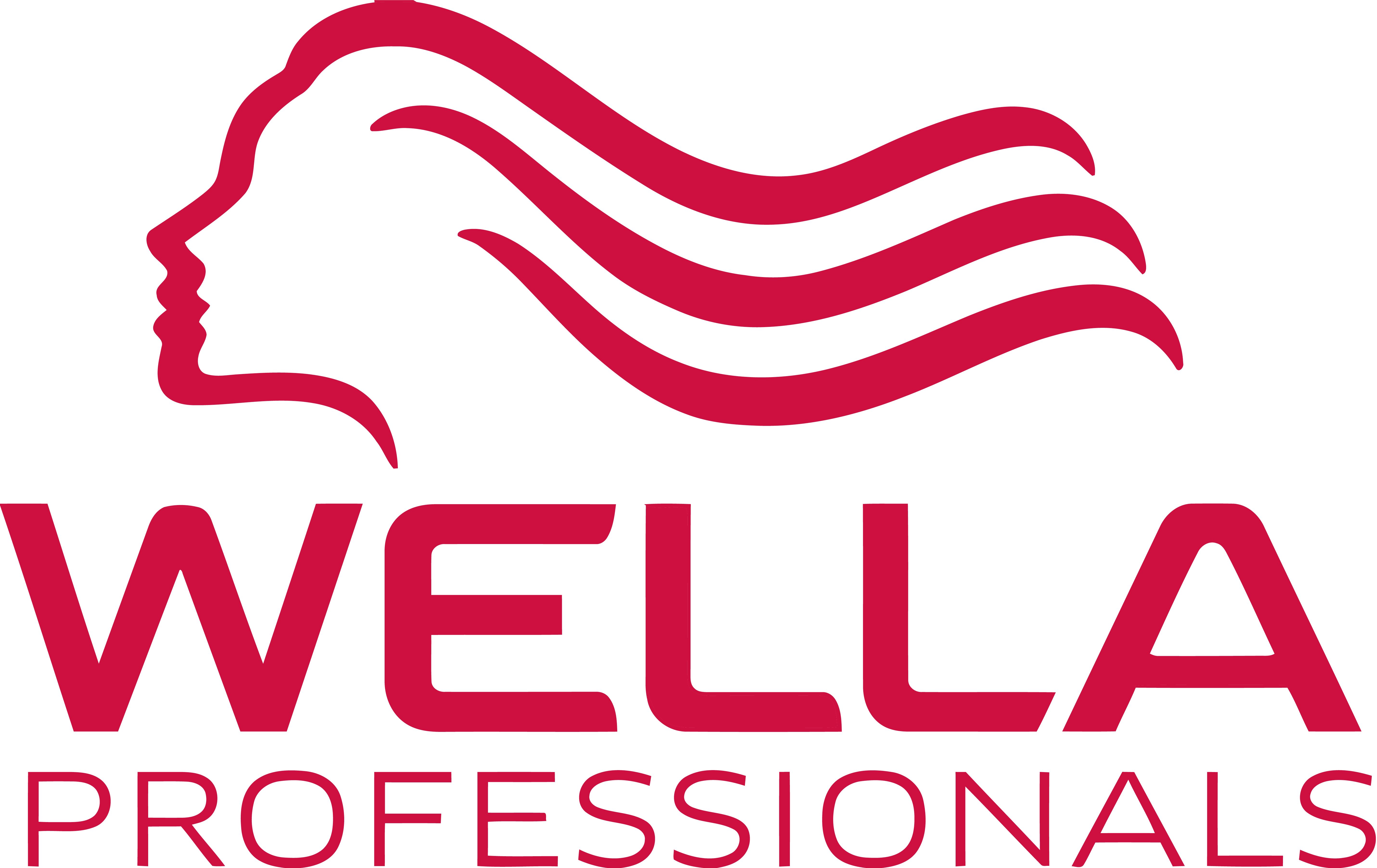 Wella Enrich Moisturizing Conditioner Für Trockenes & Geschädigtes Haar – 1000 Ml, Mit Sheabutter & Seidenextrakt